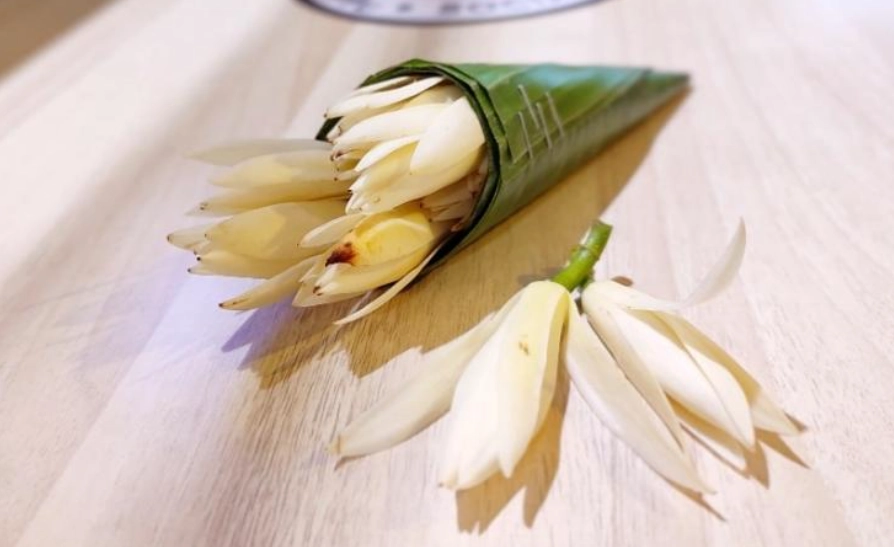 白蘭花保存 白蘭花保存