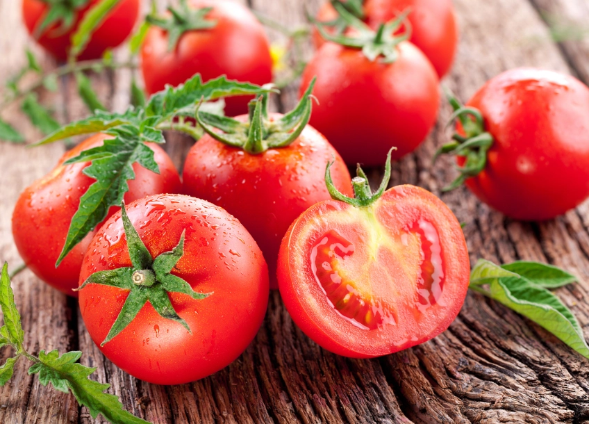 番茄水分控制