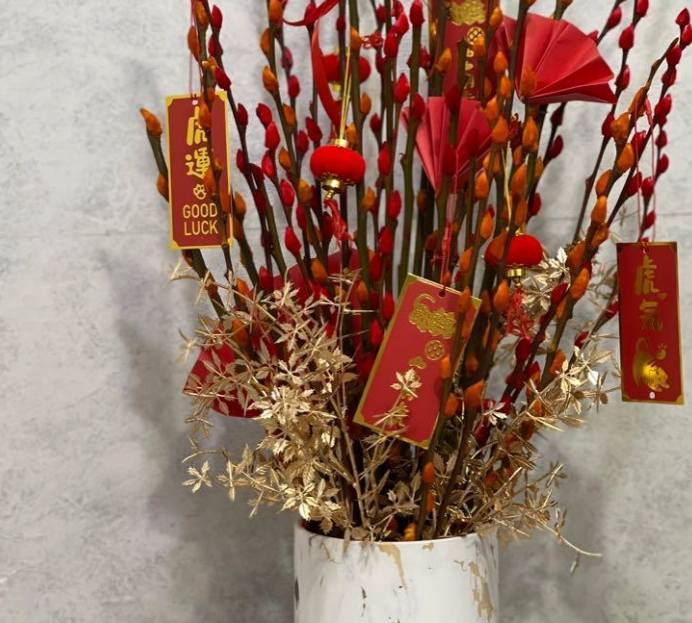 銀柳可以土培嗎