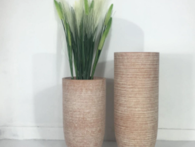 高花盆植物推薦