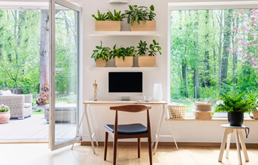 辦公室綠化風水