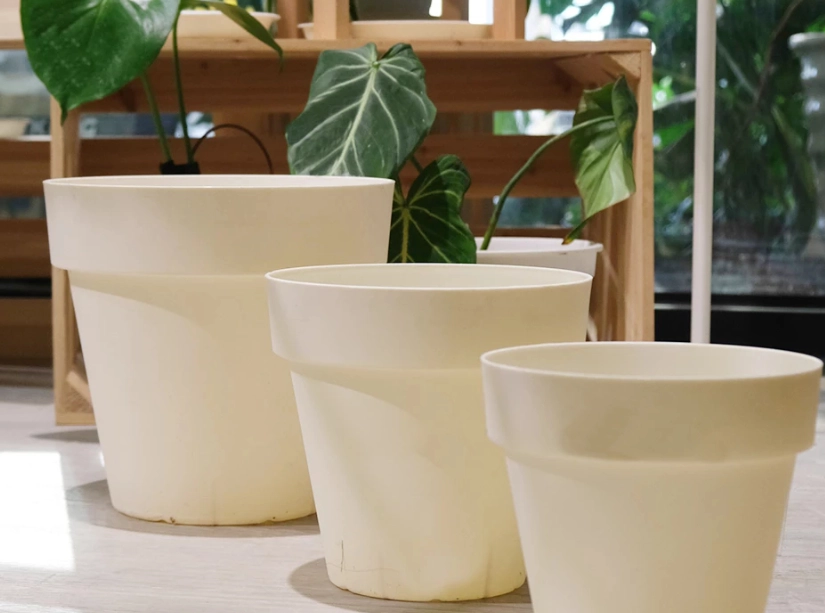 陶盆好處壞處 陶盆好處壞處