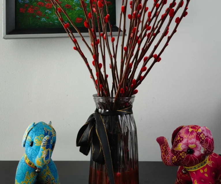 銀柳盆栽指南 銀柳盆栽指南