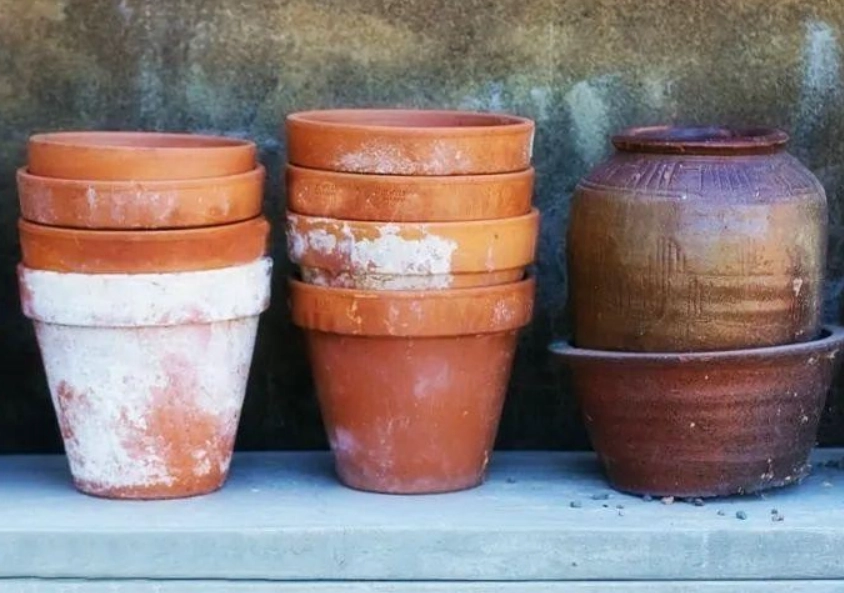 陶盆發霉預防