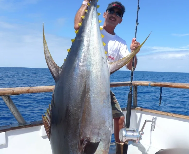 夢見他人釣大魚吉凶