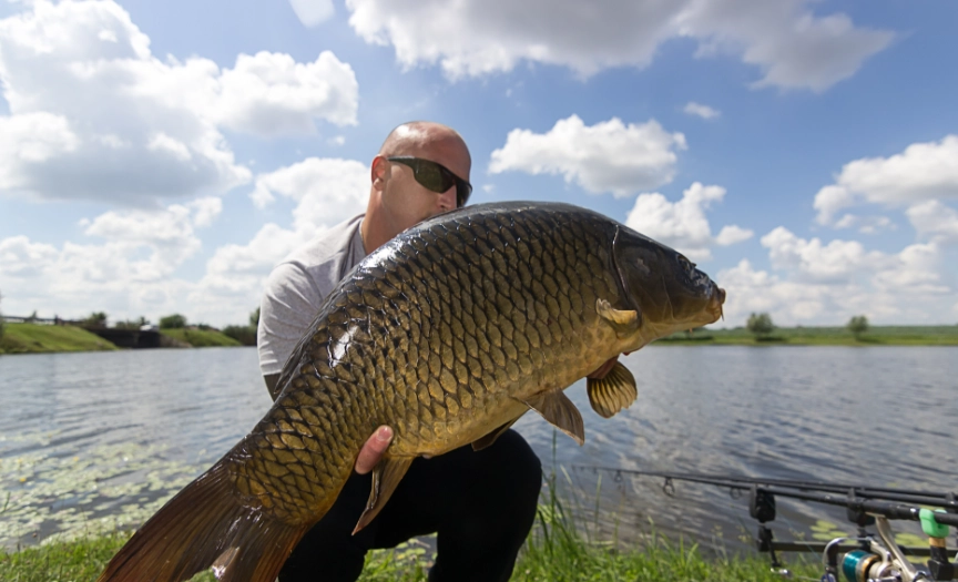夢見他人釣大魚吉凶