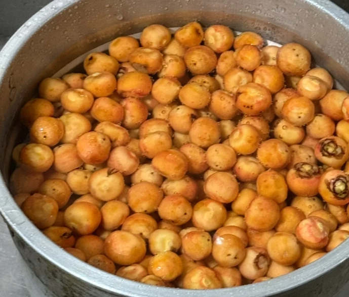 黃椰子果實用途