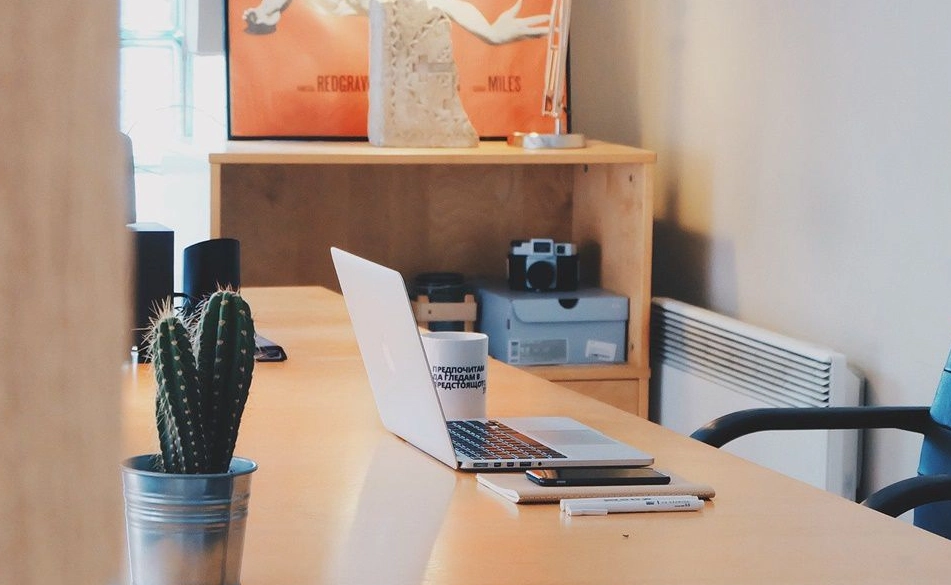 辦公室植物風水