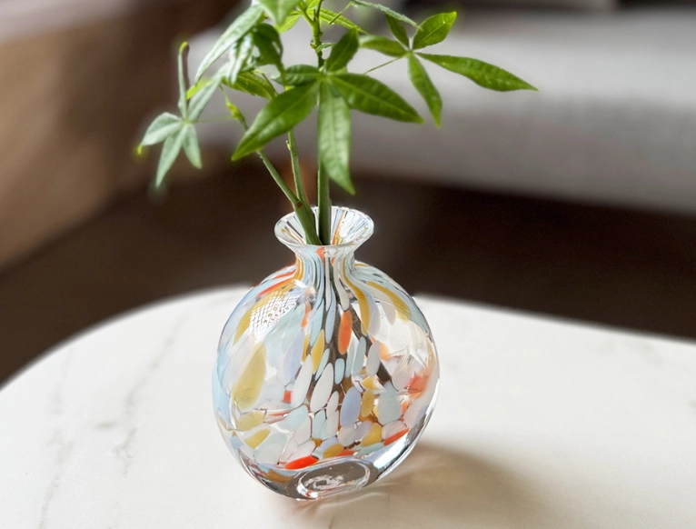 發財樹水種方法