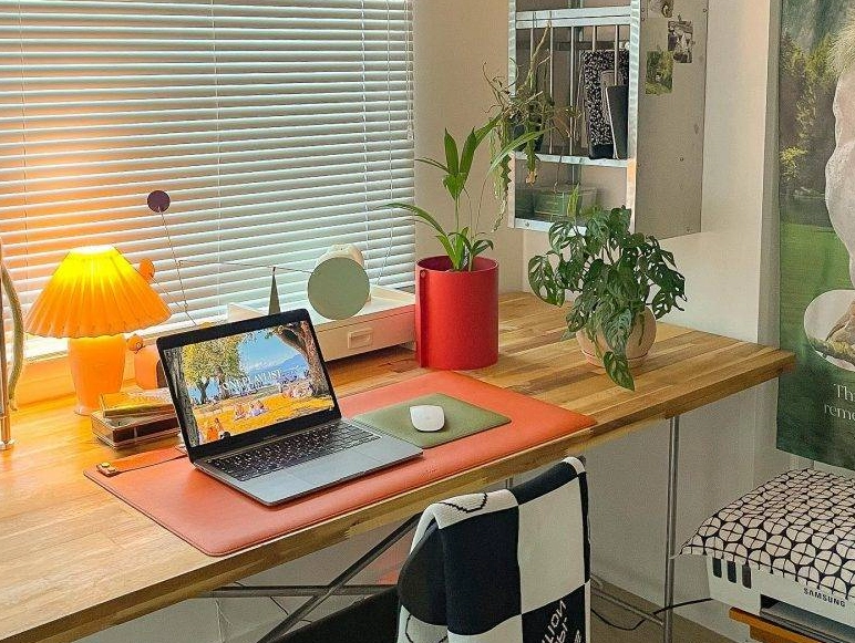 辦公桌盆栽選擇