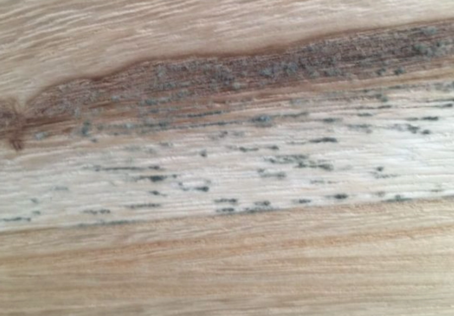 漂白水除霉比例