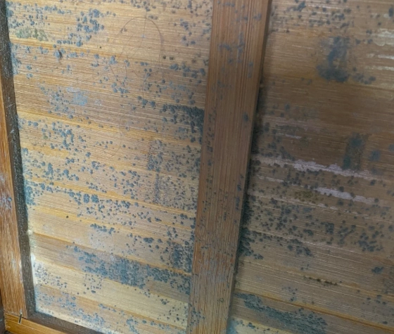 台灣潮濕家具保養