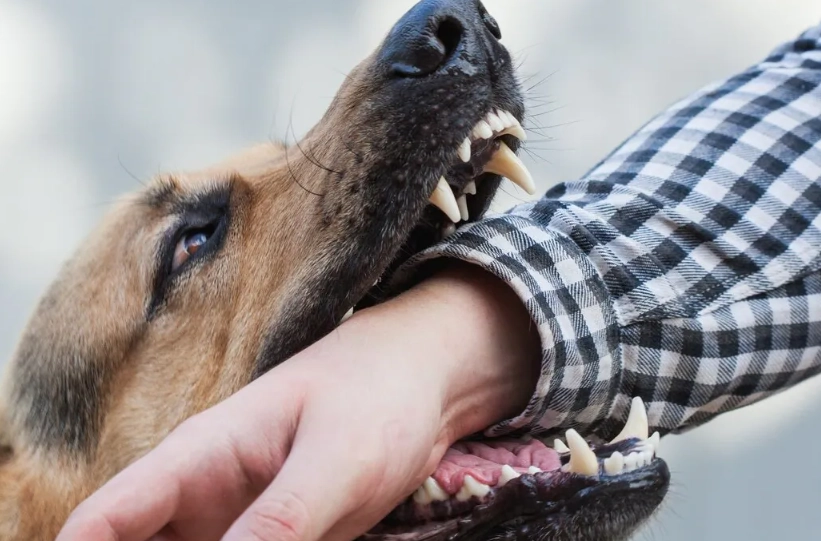 夢境心理學 台灣
