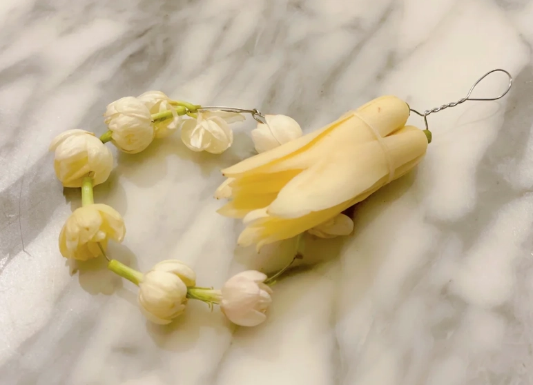 玉蘭花保鮮技巧