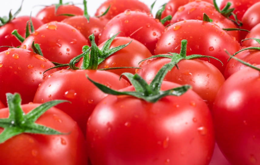 停心型番茄特點