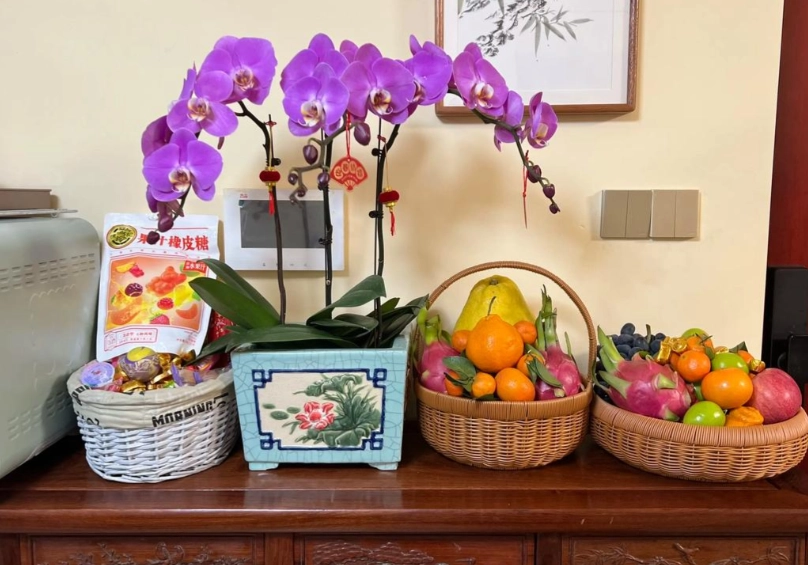 蝴蝶蘭復花方法