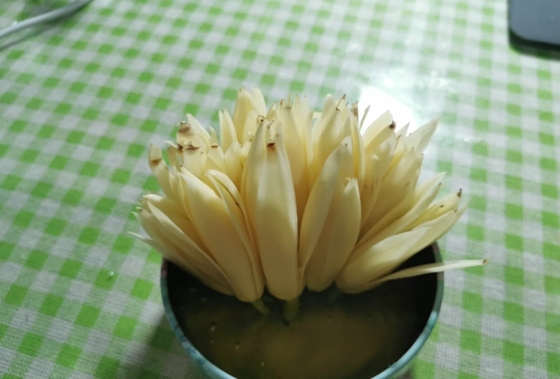 玉蘭花延長花期