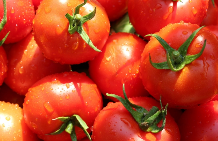 停心型番茄特點