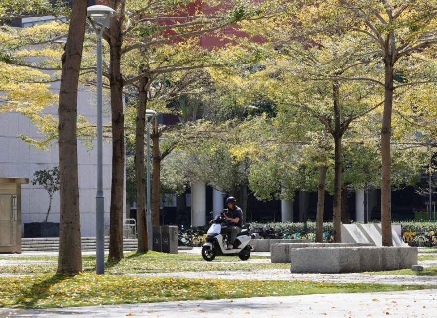 落葉期養護方法