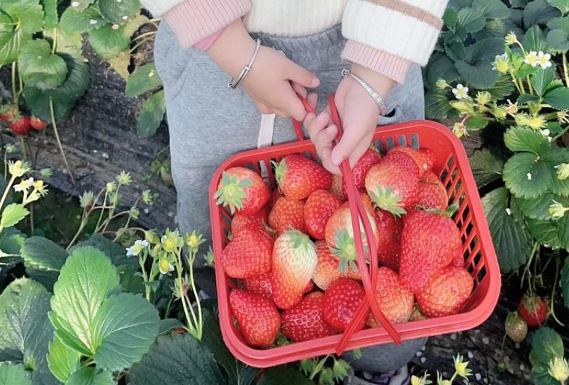 內湖親子一日遊