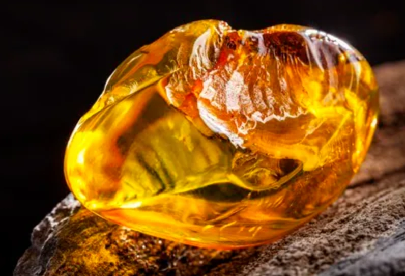 琥珀鑑定