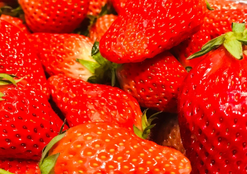 關西草莓 產地直銷