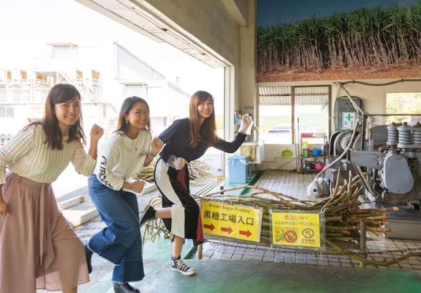 沖繩黑糖 體驗