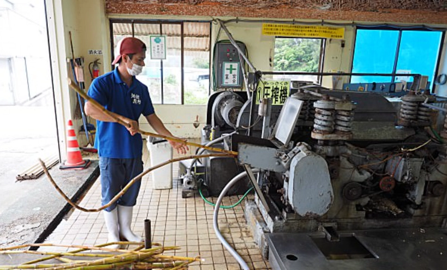 沖繩黑糖工廠 門票