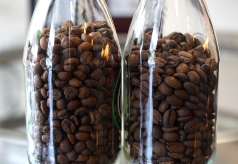 台中咖啡豆產地