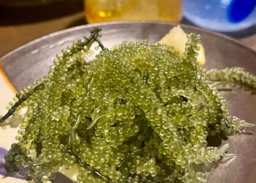 海葡萄營養價值