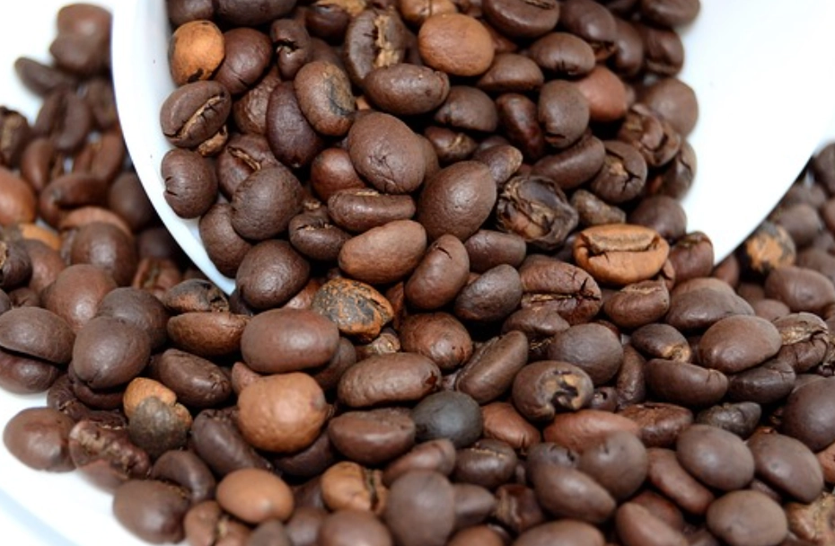 台中咖啡豆產地