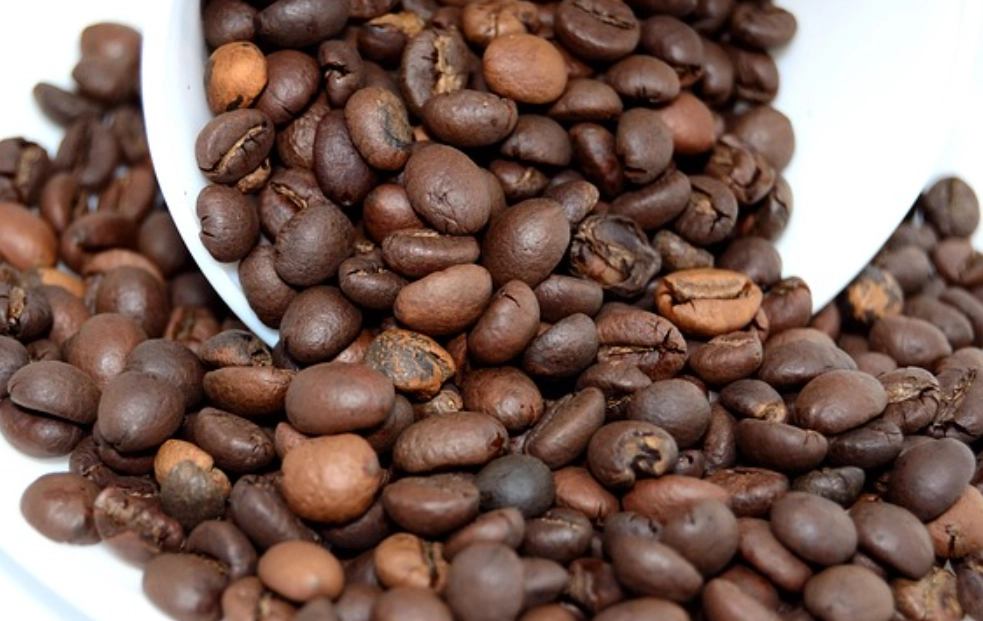 台中咖啡豆產地