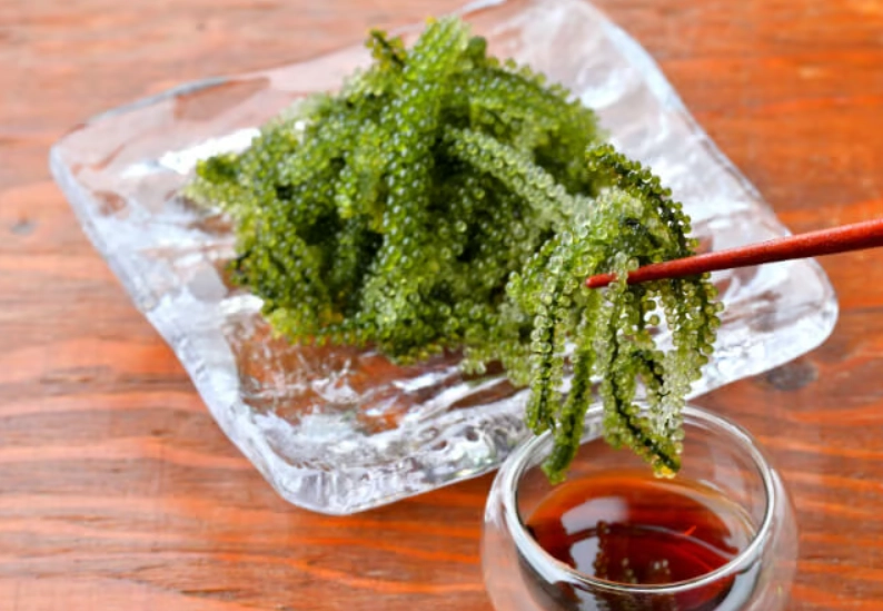 海葡萄營養價值