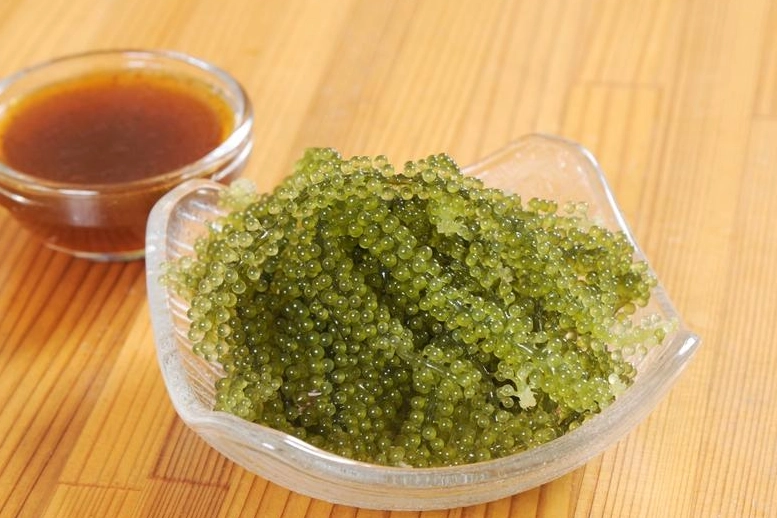 海葡萄食用注意