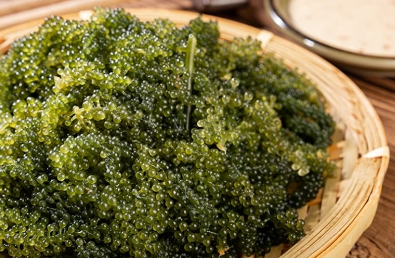 海葡萄營養價值