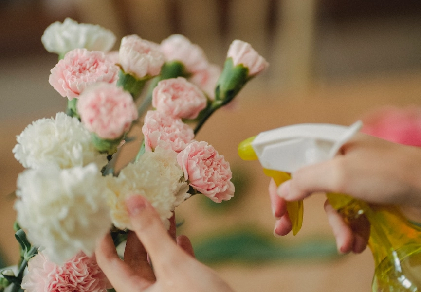 自製鮮花保鮮劑