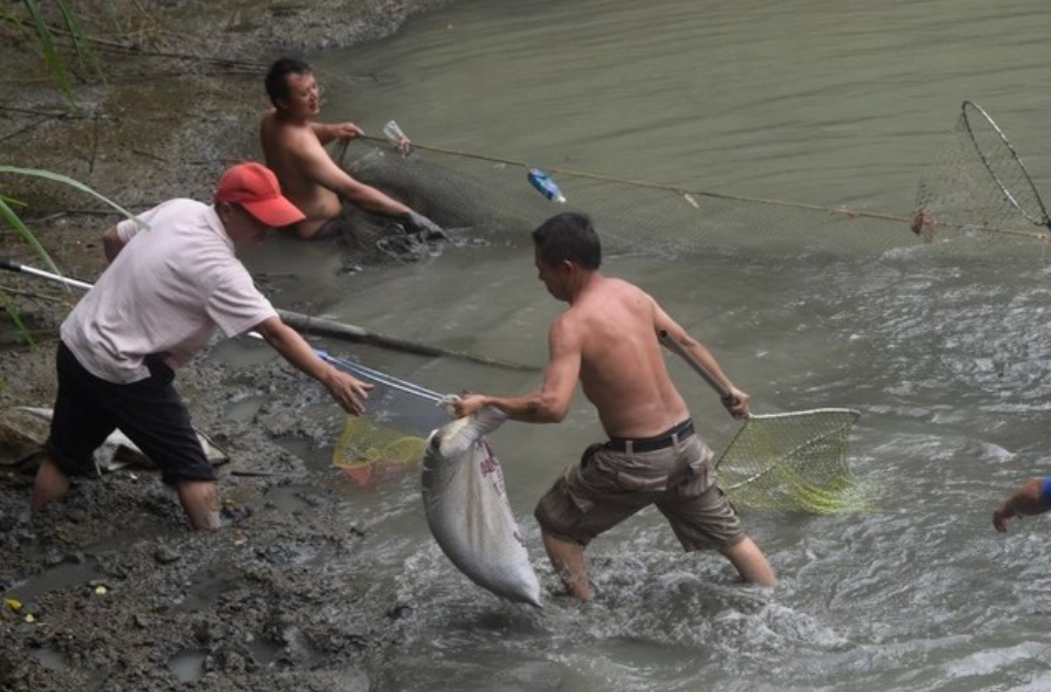 抓魚夢境 抓魚夢境