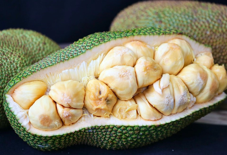 波羅蜜 夢境 解析