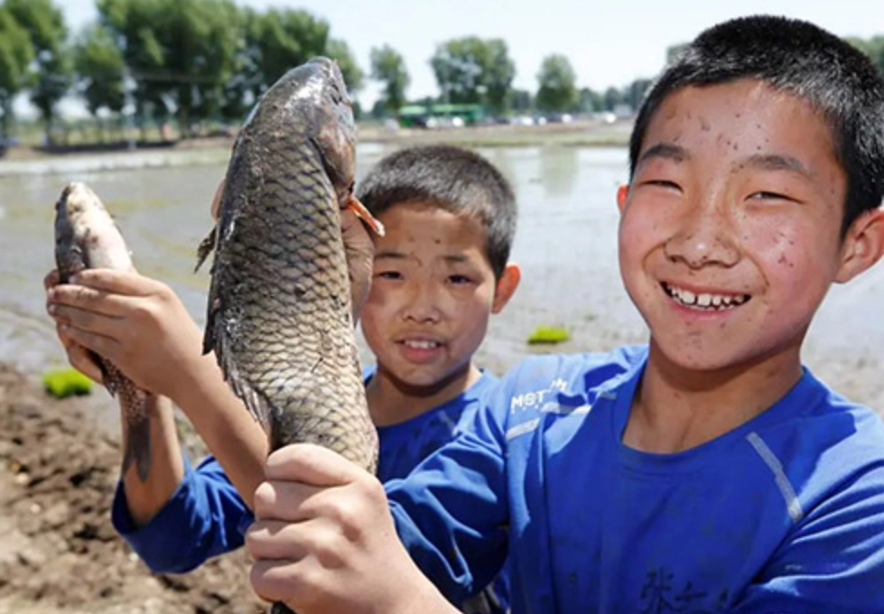 抓魚夢境 抓魚夢境