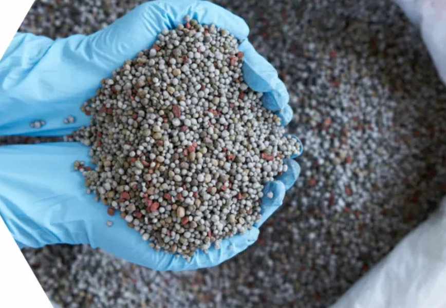 多肉植物施肥技巧