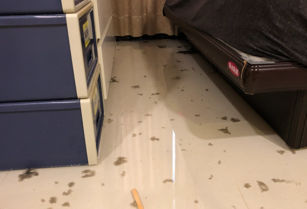 夢見淹水心理學