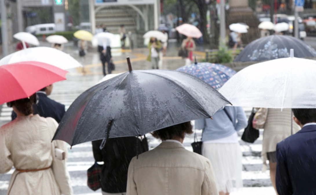 下雨撐傘夢解析