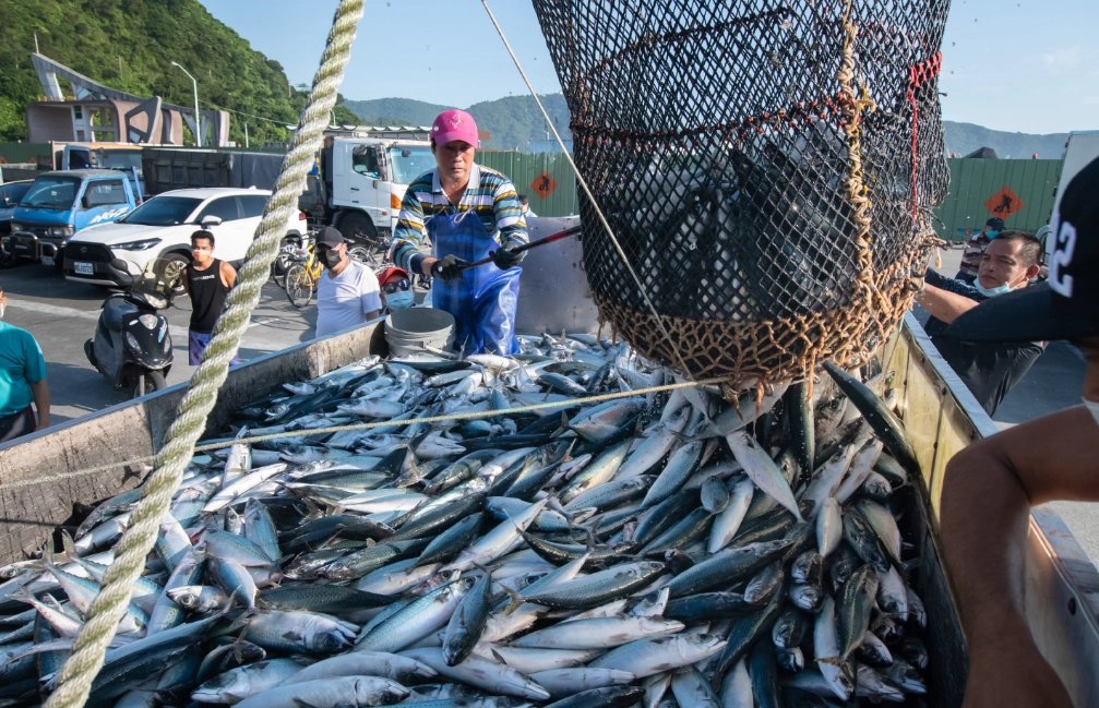 夢境解析 夢境解析