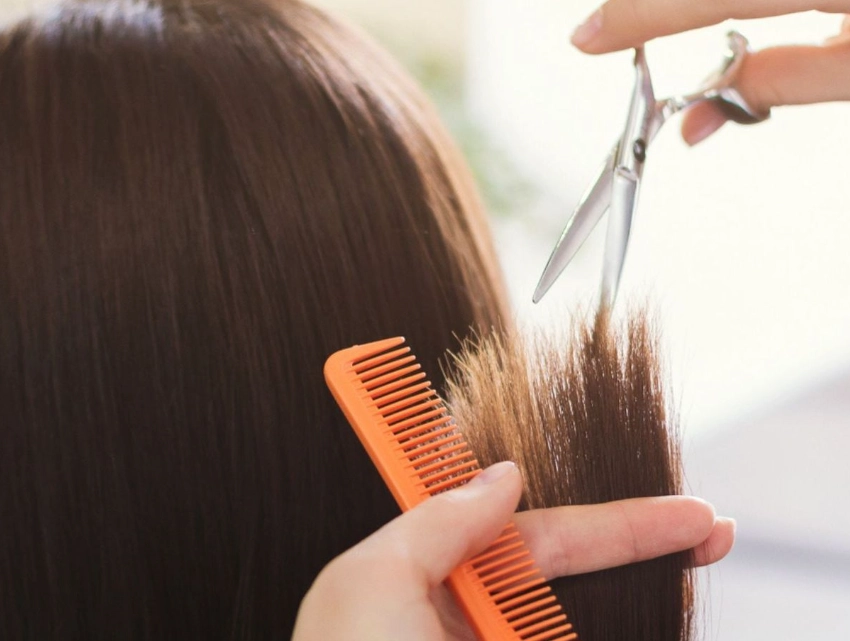 夢見別人幫我剪頭髮 解夢