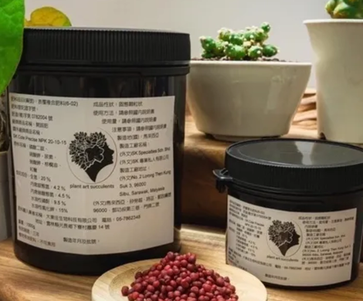 多肉植物施肥技巧