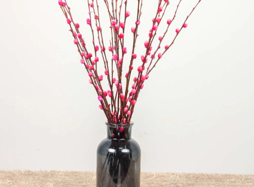 银柳全攻略：從種植到裝飾的完整指南，解決所有疑難雜症