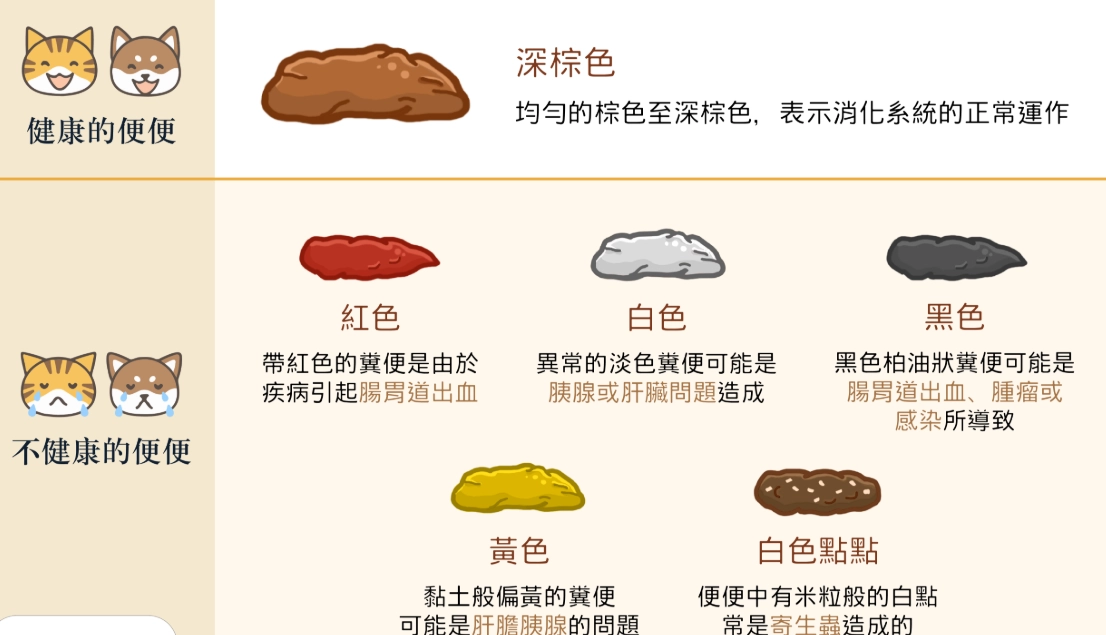 貓大便顏色