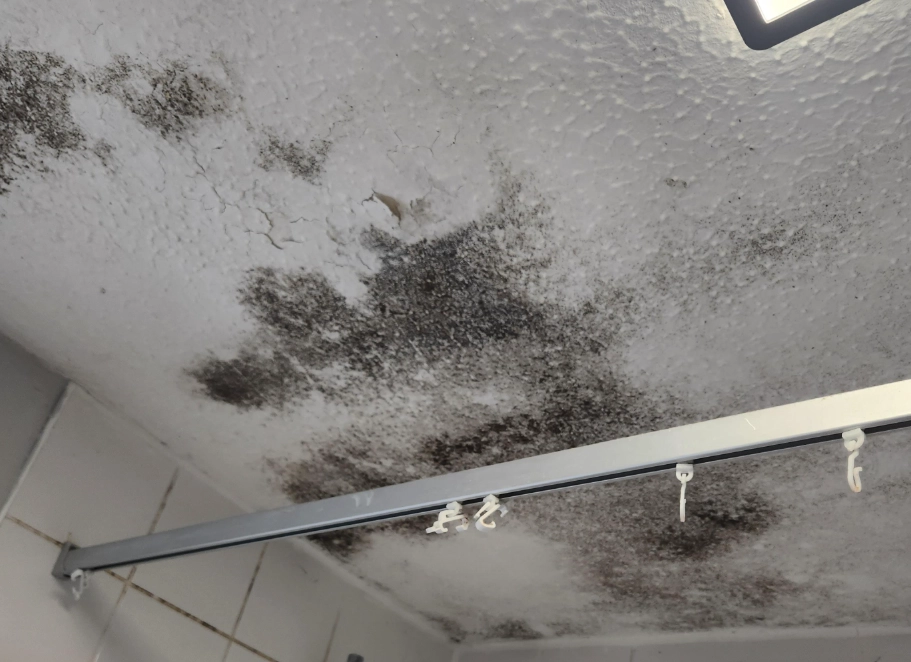 酒精除霉步驟 酒精除霉步驟