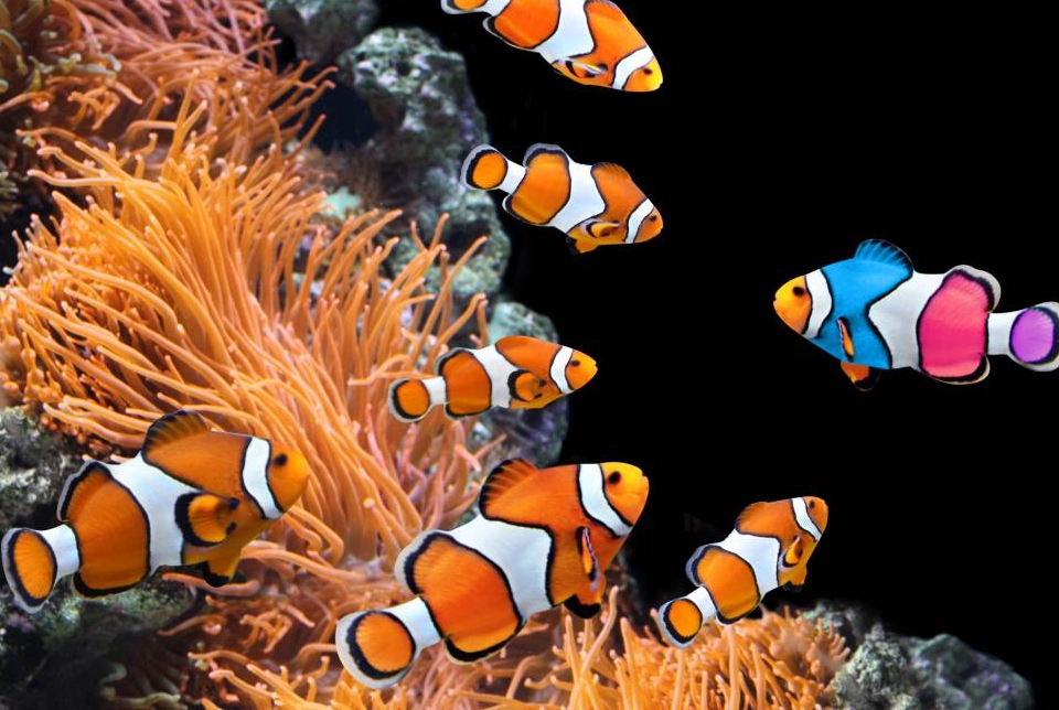 週末親子去處 週末親子去處