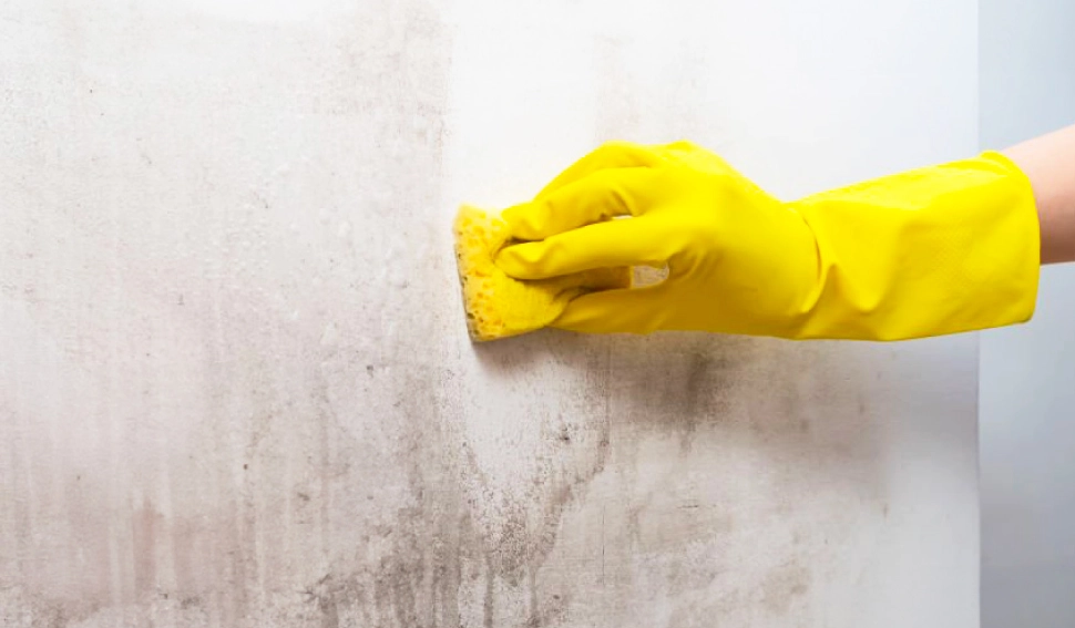 牆壁發霉原因